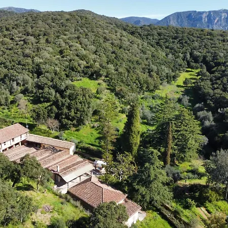 Il Borgo Affittacamere